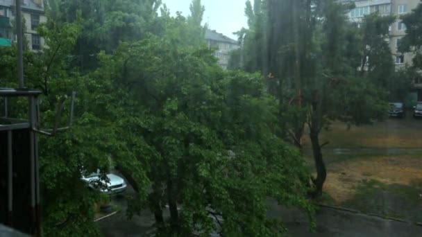 stortbui. Kiev oude straat en oude huis is regen. - Video