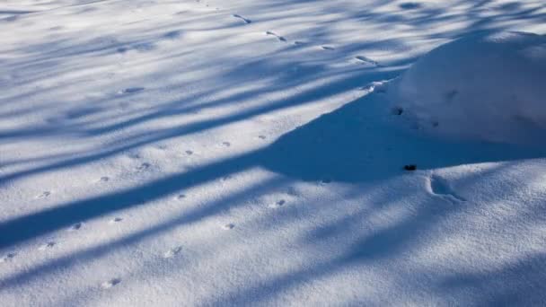 雪山.雪のピーク上の雲の動き、タイムラプスブルースカイ - 映像、動画