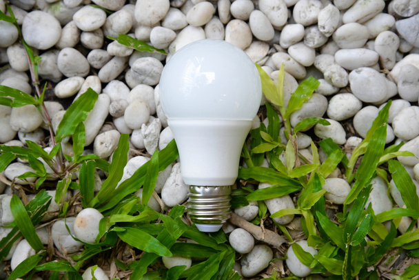 Lampadina LED - Energia e natura verde
 - Foto, immagini