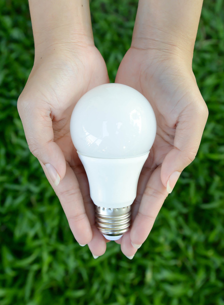 LED bulb - energy lighting in our control - Photo, Image
