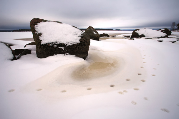 Zatoki Finsky Morza Bałtyckiego w zimie - Zdjęcie, obraz