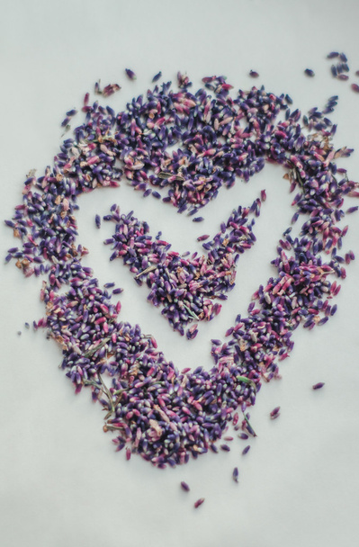 Valentines Day Heart Made of lavender flower Isolated on White Background. - Photo, Image