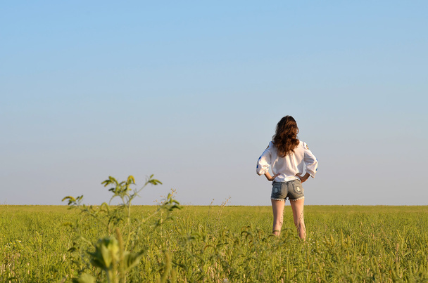 mooi meisje in een veld - Foto, afbeelding