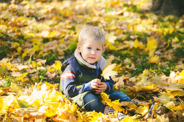Cute little kid playing with autumn orange leaves in park - Zdjęcie, obraz
