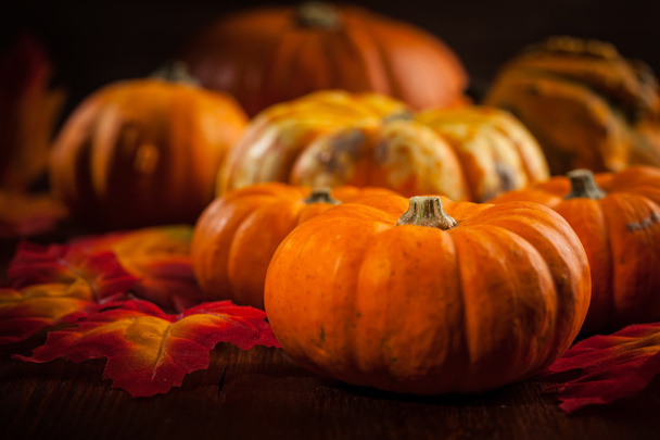 Pumpkins for Thanksgiving - Photo, Image