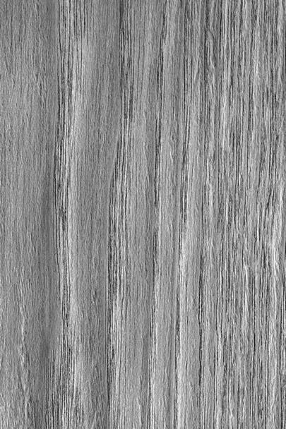 Φυσικό ξύλο δρυός λευκασμένα και χρωματίζονται γκρι Grunge υφή δείγμα - Φωτογραφία, εικόνα