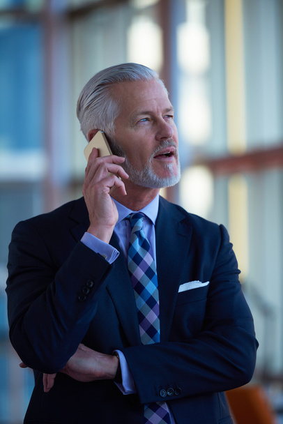 senior business man talk on mobile phone - Foto, afbeelding