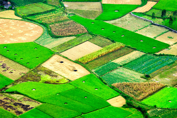 Campos de arroz en Bac Son Mountain, Lang Son, Vietnam
 - Foto, Imagen