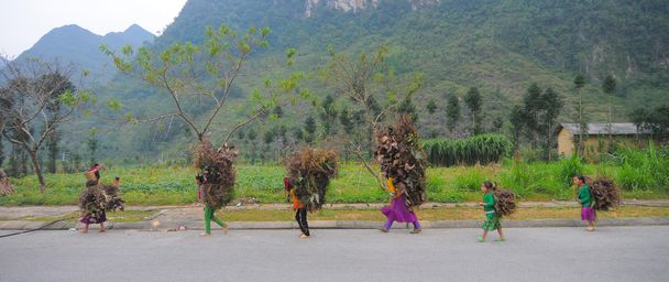 Frau aus ethnischen Minderheiten trägt Gras nach Hause - Foto, Bild