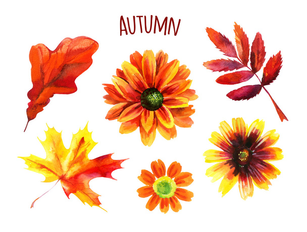 Watercolor autumn set of leaves and flowers - Photo, Image