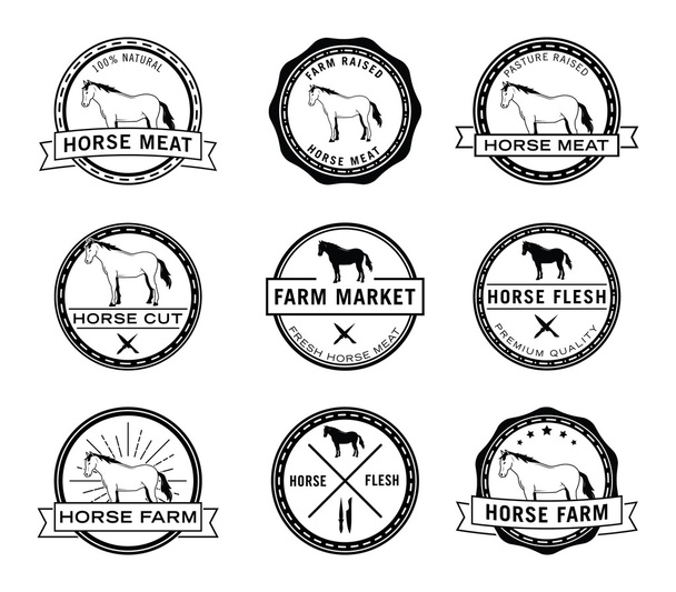 Horse farm badge - Vektori, kuva