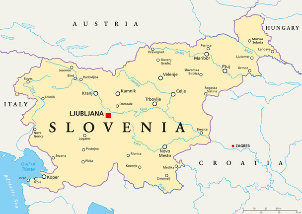 Slovenya siyasi Haritası - Vektör, Görsel