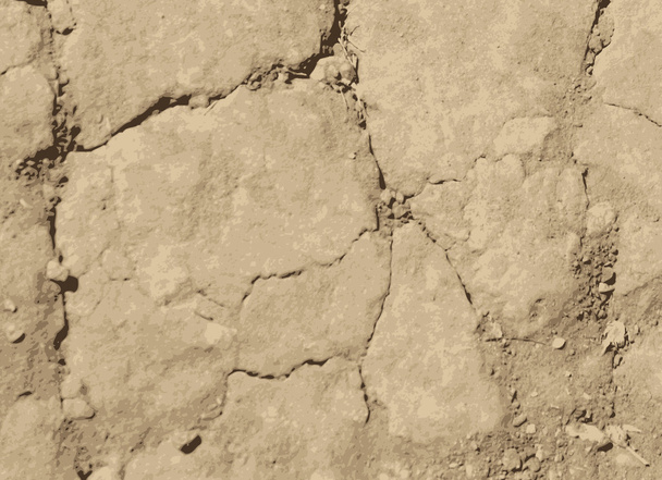 Dried cracked soil. Vector texture - Vector, Image