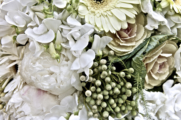 White Flowers - Fotoğraf, Görsel
