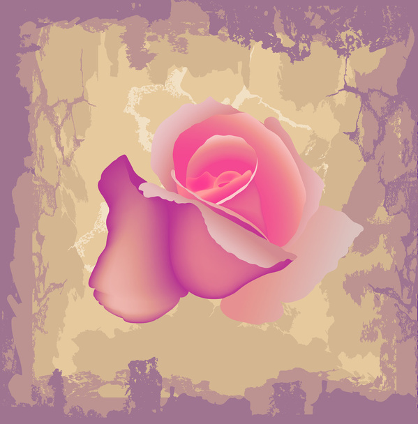 Vector Rose Grunge Background - ベクター画像