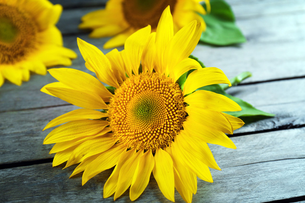 Beautiful bright sunflowers on wooden table close up - 写真・画像