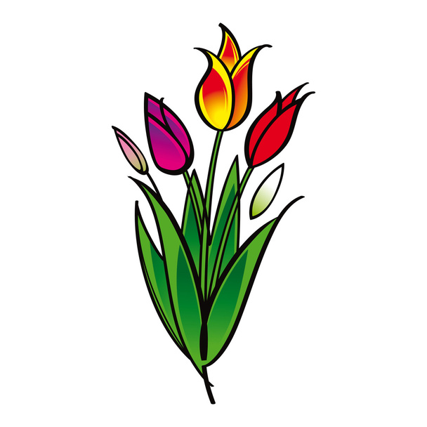 Tulipán virág növény csokor - Vektor, kép