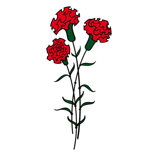Piros szegfű virág növény - Vektor, kép