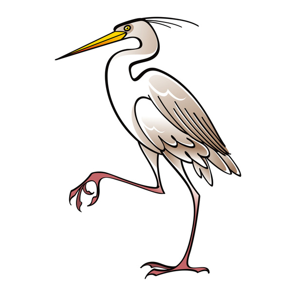 White Heron bird fauna - Wektor, obraz