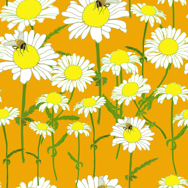 Camomile Flowers  Pattern - Vector, Image