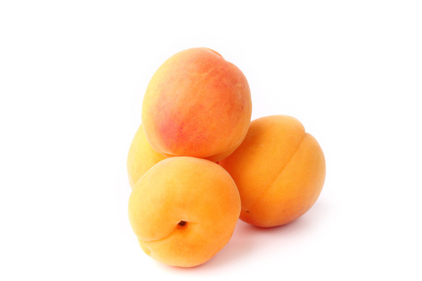 apricots isolated on white background - 写真・画像