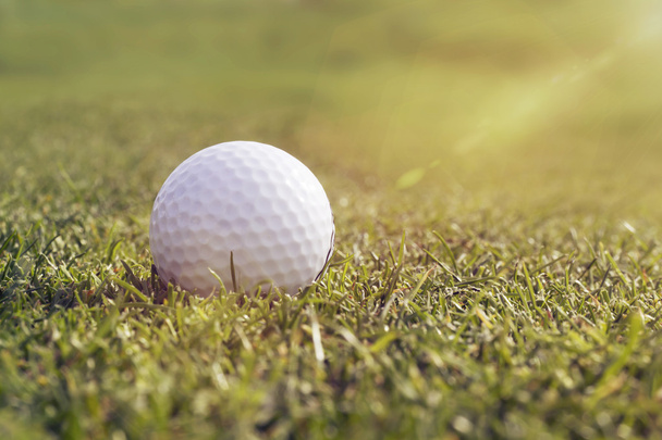 Boş Golf topu çimenlerin üzerinde - Fotoğraf, Görsel