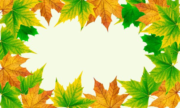Падающие осенние листья - Фото, изображение