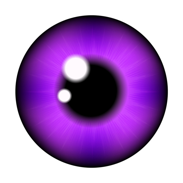 La pupila del ojo, bola del ojo. Ilustración vectorial realista aislada sobre fondo blanco. - Vector, Imagen