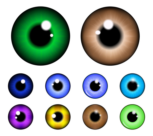 Conjunto de pupila del ojo, bola del ojo, ojo del iris. Ilustración vectorial realista aislada sobre fondo blanco. - Vector, Imagen