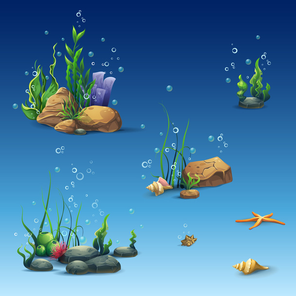 Vedenalaisen maailman pakkaus, jossa kuori, merilevä, meritähti, kivet
 - Vektori, kuva