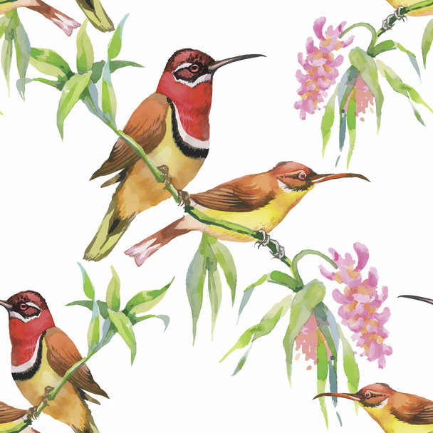 Watercolor Wild exotic birds on flowers seamless pattern on white background - Vetor, Imagem