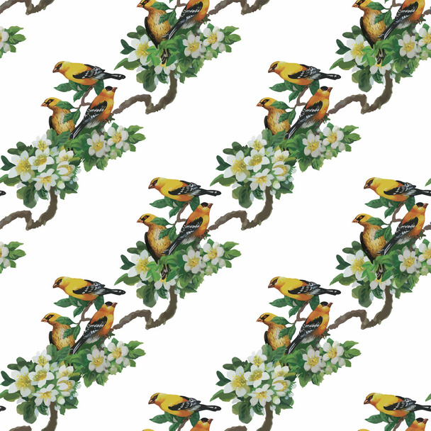 Watercolor Wild exotic birds on flowers seamless pattern on white background - Vector, Image