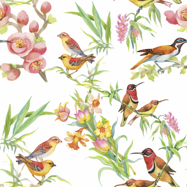 Watercolor Wild exotic birds on flowers seamless pattern on white background - Вектор,изображение