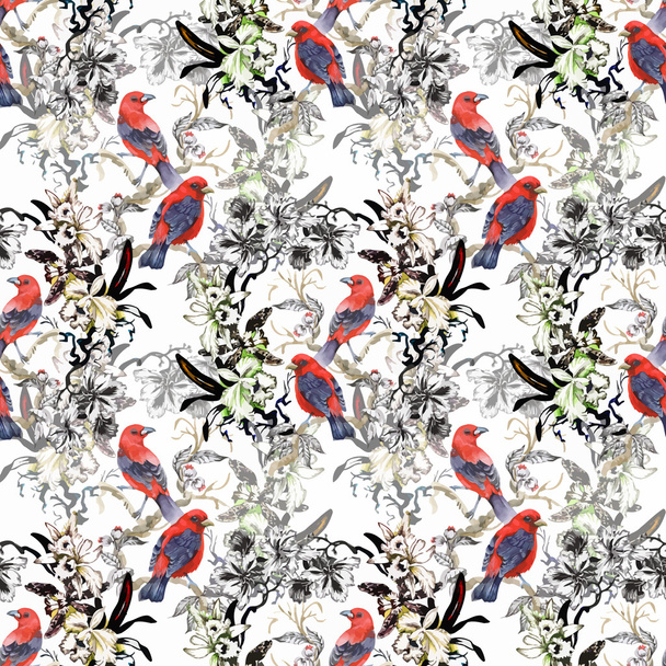 Akwarela dzikich ptaków egzotycznych na wzór kwiaty na białym tle - Wektor, obraz