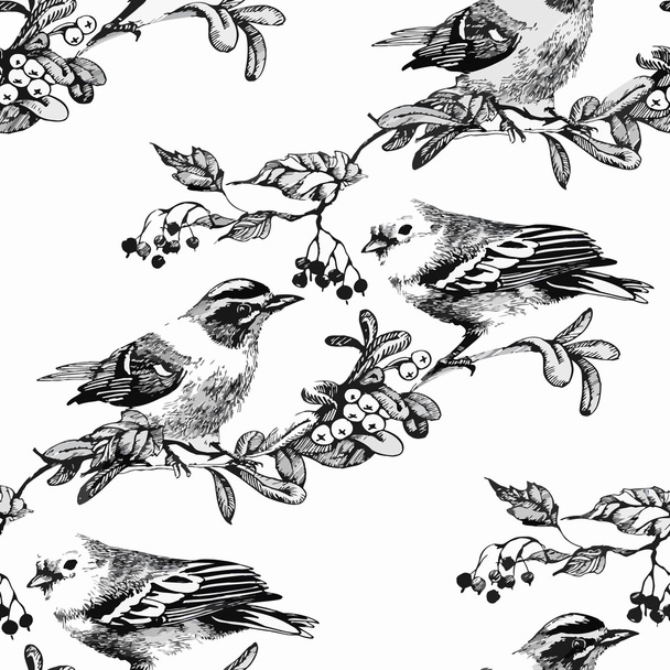 Acquerello Uccelli esotici selvatici sui fiori modello senza soluzione di continuità su sfondo bianco
 - Vettoriali, immagini