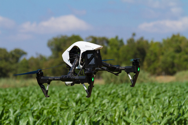 Drone flotando bajo sobre plantación verde
 - Foto, Imagen