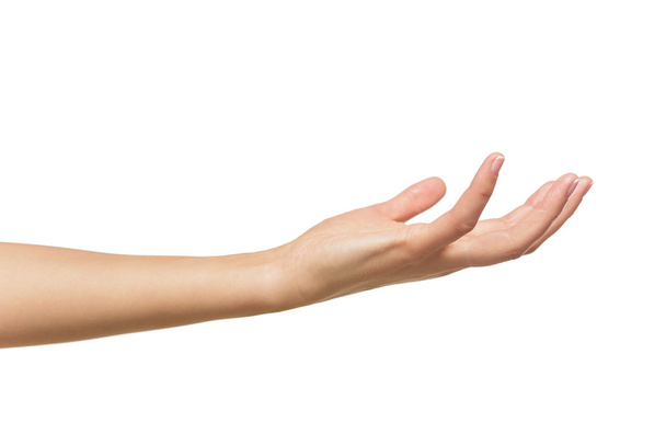 Open a womans hand, palm up. - Фото, изображение