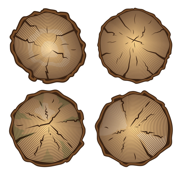 Пень дерева, круглая резка с ежегодными кольцами
 - Вектор,изображение