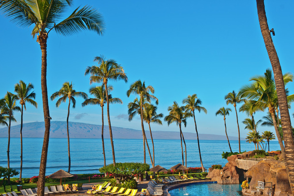 een hotel strand in maui hawai - Foto, afbeelding