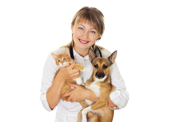 smiling vet and dog and cat - Zdjęcie, obraz