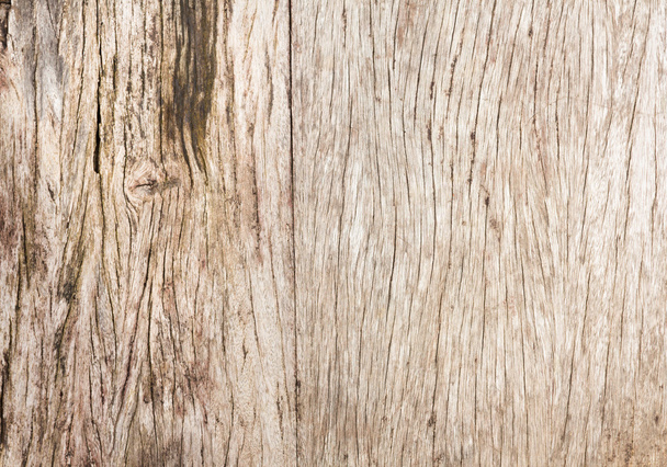 Nature old wood texture background - Photo, Image