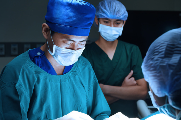 group of veterinarian surgery in operation room - Foto, imagen