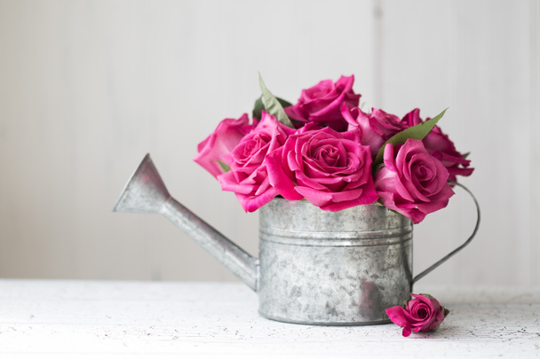 růžové růže - Fotografie, Obrázek