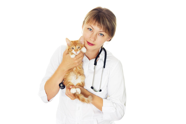 veterinarian and kitten - Fotó, kép