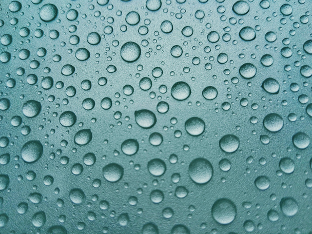 Rain dew - Photo, Image