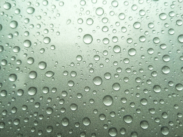 rocío de lluvia
 - Foto, Imagen