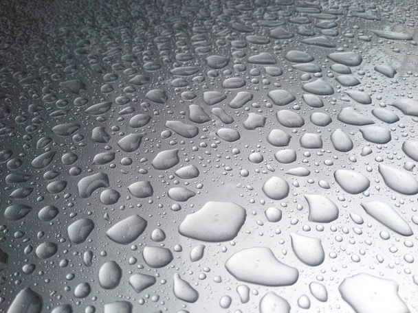 Regen dauw - Foto, afbeelding