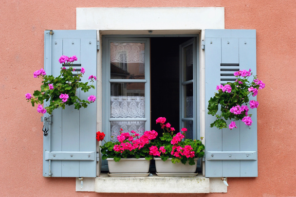 Arreglo floral de caja de ventana, Borgoña, Francia
 - Foto, Imagen