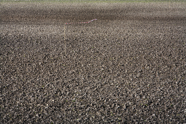 Fertile soil abstract - Photo, Image