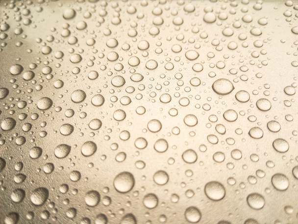 Eső harmat - Fotó, kép
